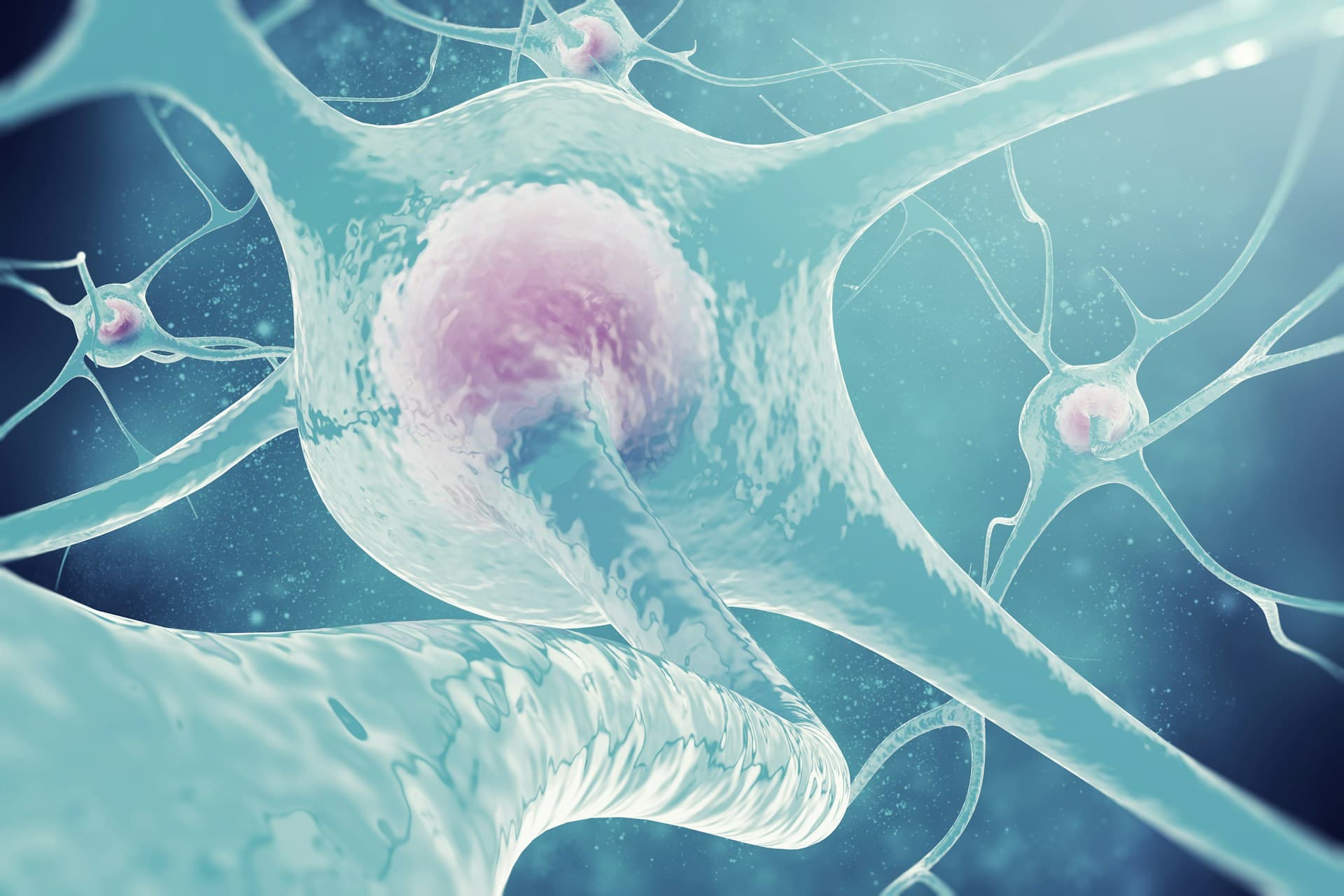 Memoria multimodal neurodegenerative research
